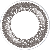 LACELLE 1-Day Cool Grey 酷灰日拋隱形眼鏡(30片)